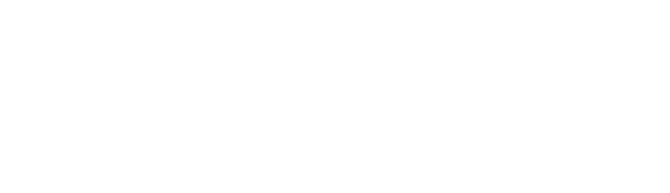 Check In Servicing LLC